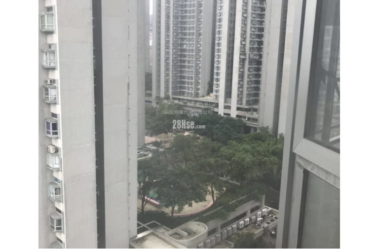少有放租 非常缺盤 